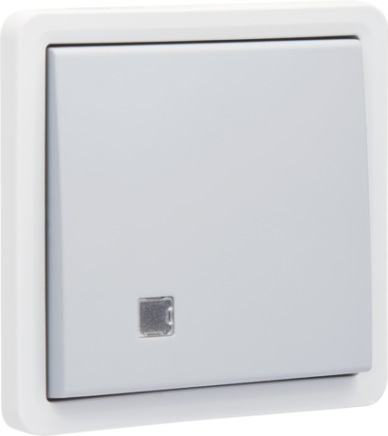 [NK700-37200] Interrupteur à témoin bipol. étanche 10a, bornes à vis, exc. led gris