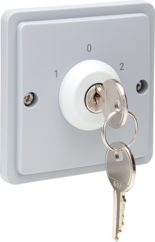 Interrupteur à clé étanche 10a avec bornes à vis