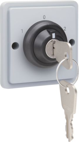 Interrupteur à clé étanche 16a avec bornes à vis