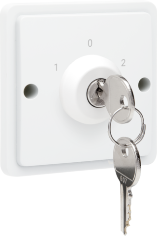 Interrupteur à clé étanche 10a avec bornes à vis