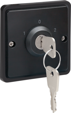 Interrupteur à clé étanche 10a avec bornes à vis