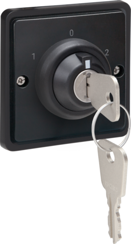 Interrupteur à clé étanche 16a avec bornes à vis