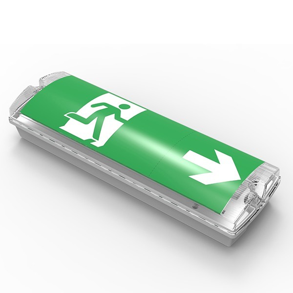 BLOC DE SECOURS P/NP 3W 150LM 3HRS AUTOTEST IP65 IK08