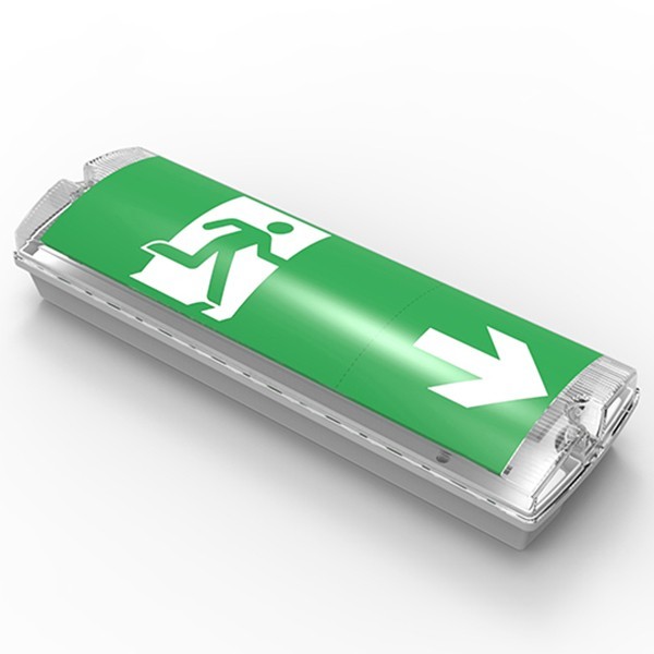 [EUL145-28133] BLOC DE SECOURS P/NP 5W 300LM 3HRS AUTOTEST IP65 IK08